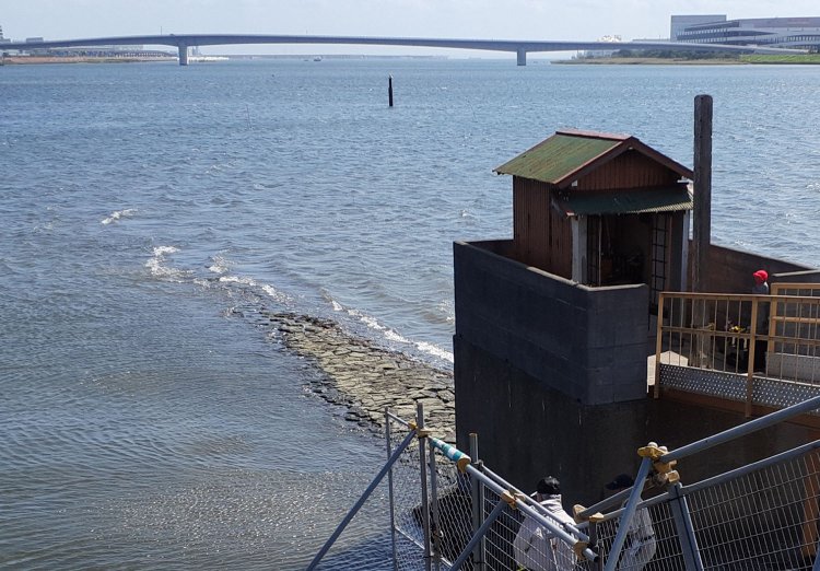 多摩川と海老取川の合流地点にある五十間鼻。急流から岸を保護するために設けられた石積みの沈床。満潮時には水面下に沈む。