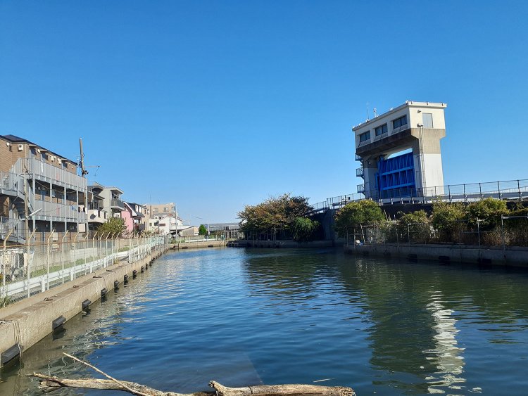 多摩川河口に位置する羽田漁港。このあたりは水深が浅く干潟が形成されやすかったため、平安時代末期頃から漁が盛んだったとか。