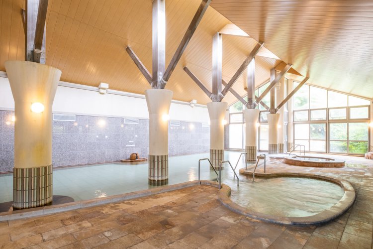 ローマ風の柱がひときわ目を引く東館。両館とも露天風呂・サウナを備えている。