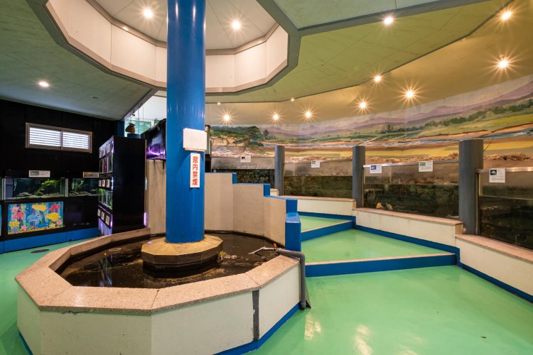 弧を描いて並ぶ大型水槽。