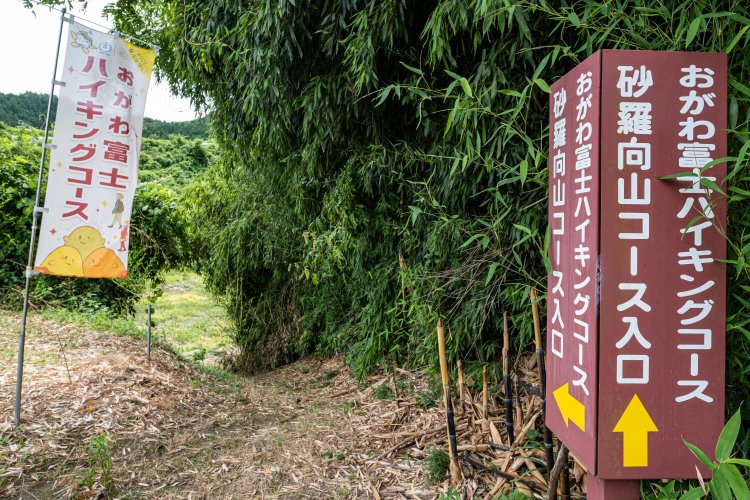 要所には案内板が整備されているので、道に迷う心配も少ない。