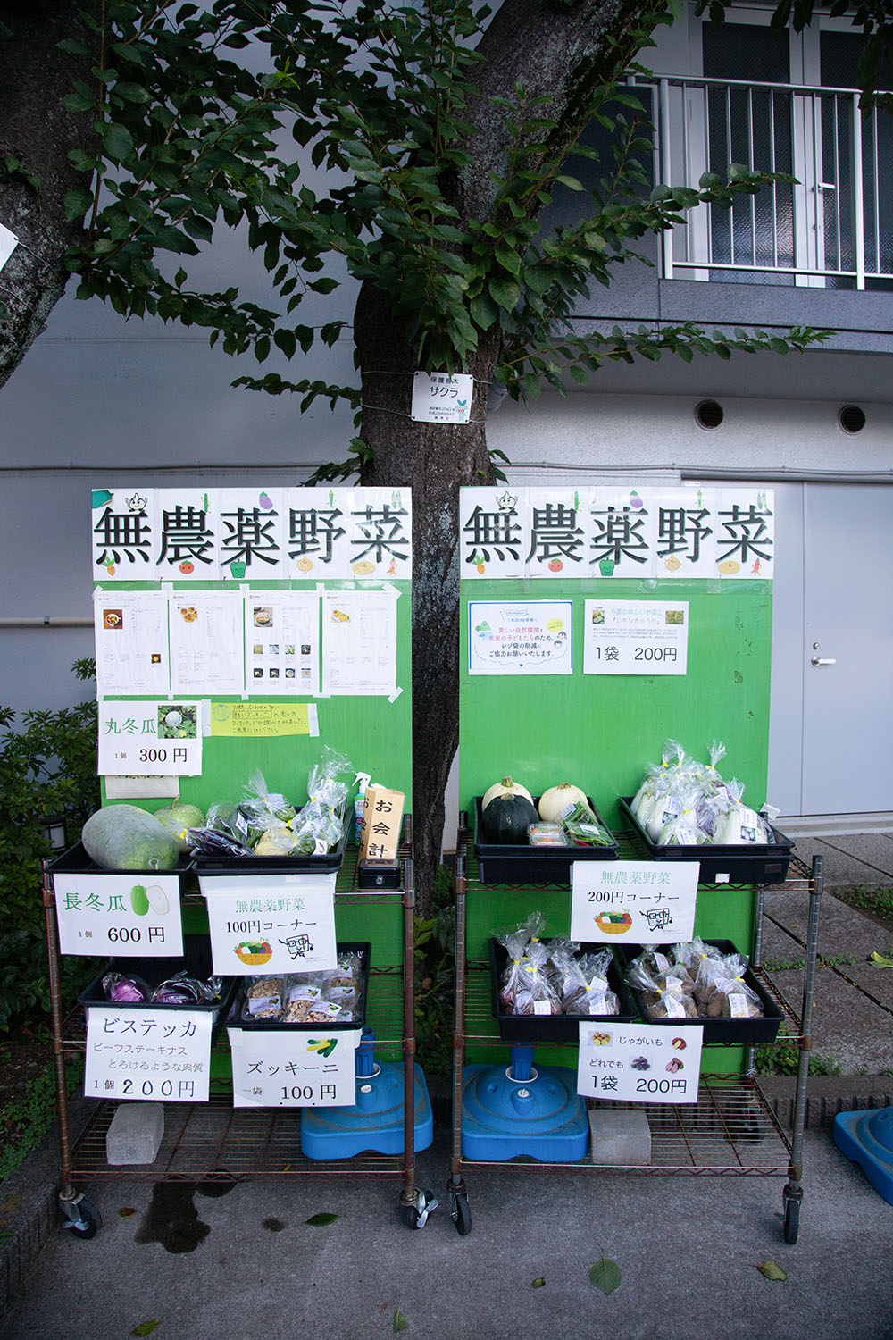 旭出学園の門前で生徒が育てた野菜を販売中。