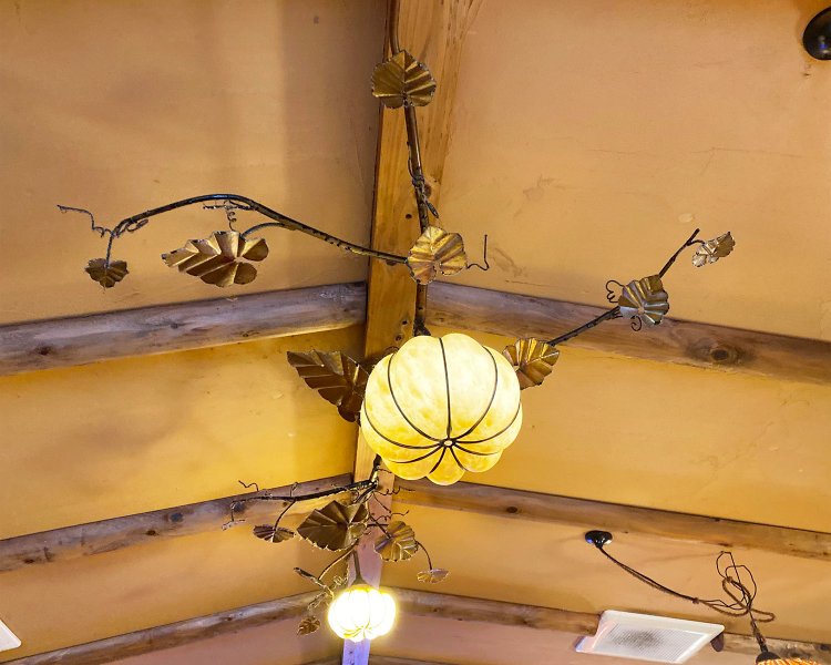 植物モチーフのライト。光が優しくてホッとします。