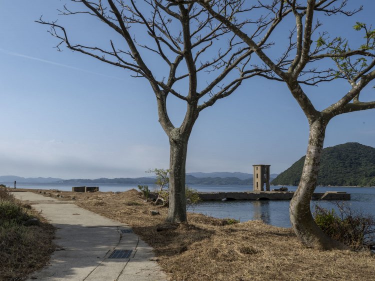 散策道が整備されている。2本の木の間から顔を出す射場の塔屋。これだけで絵になるのはなぜだろう。