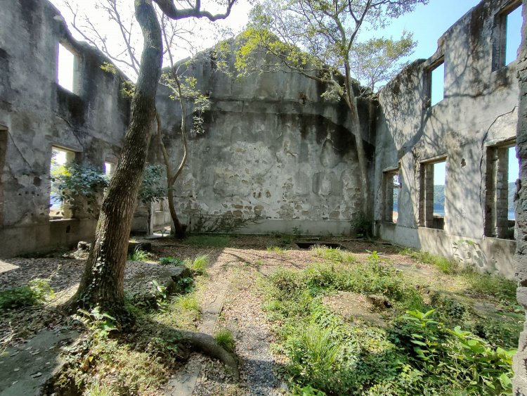 裏側の部屋も負けじと木々が育っている。ちょっとした温室の跡地を見ているようだが、ここには機械が並んでいたのだろう。あるいは事務所だったか。