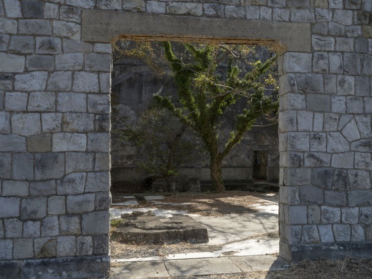 ポンプ所の入口からシンボリックな木を覗く。建物内に木が生えるのは廃墟のデフォルトであるが、何度こういう光景を見ても神秘的でうっとりする。