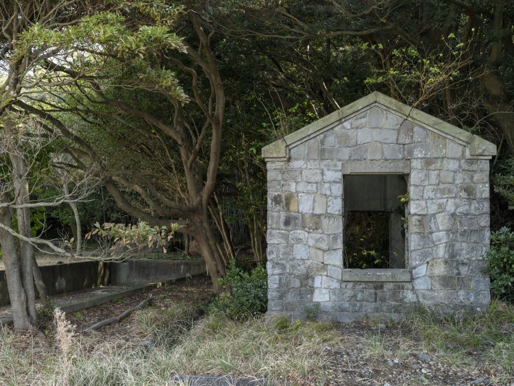 ポンプ所の傍らに残る施設群。左は冷却水槽、右の小屋は第二油庫。油庫内も木々の成長著しい……。