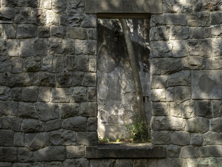 ポンプ所裏手へ回る。建物内で育つ木を窓枠越しに見るのもなかなか良い。