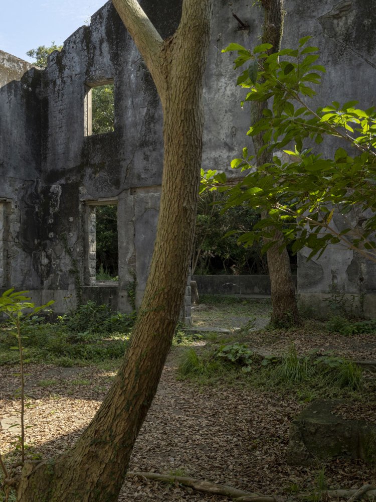 裏側の部屋もこの雰囲気を表現するのが難しかった。樹木は３本聳えていたのが印象に残っている。