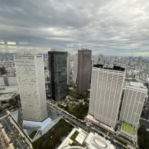 「ここは特定街区です！」新宿の高層ビル群を見てキミは何を思うのか！？
