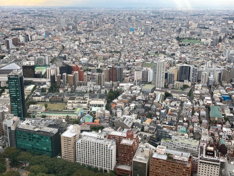 ざっくり言うと手前が商業地域で奥が住居地域。ビル群がある場所と、低層の建造物がある場所がくっきり分かれているのが分かる。