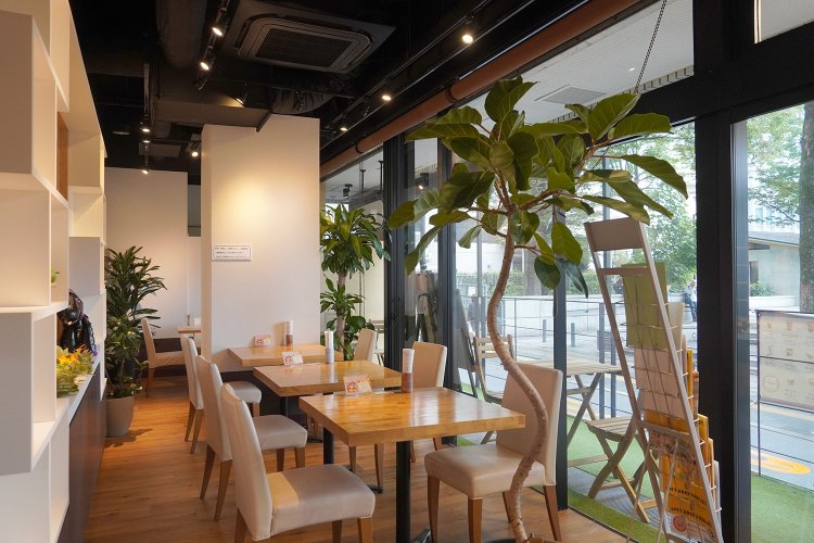 明るく開放的な店内。