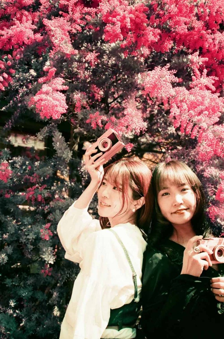 【カメラガールズ】LomoChrome Purple