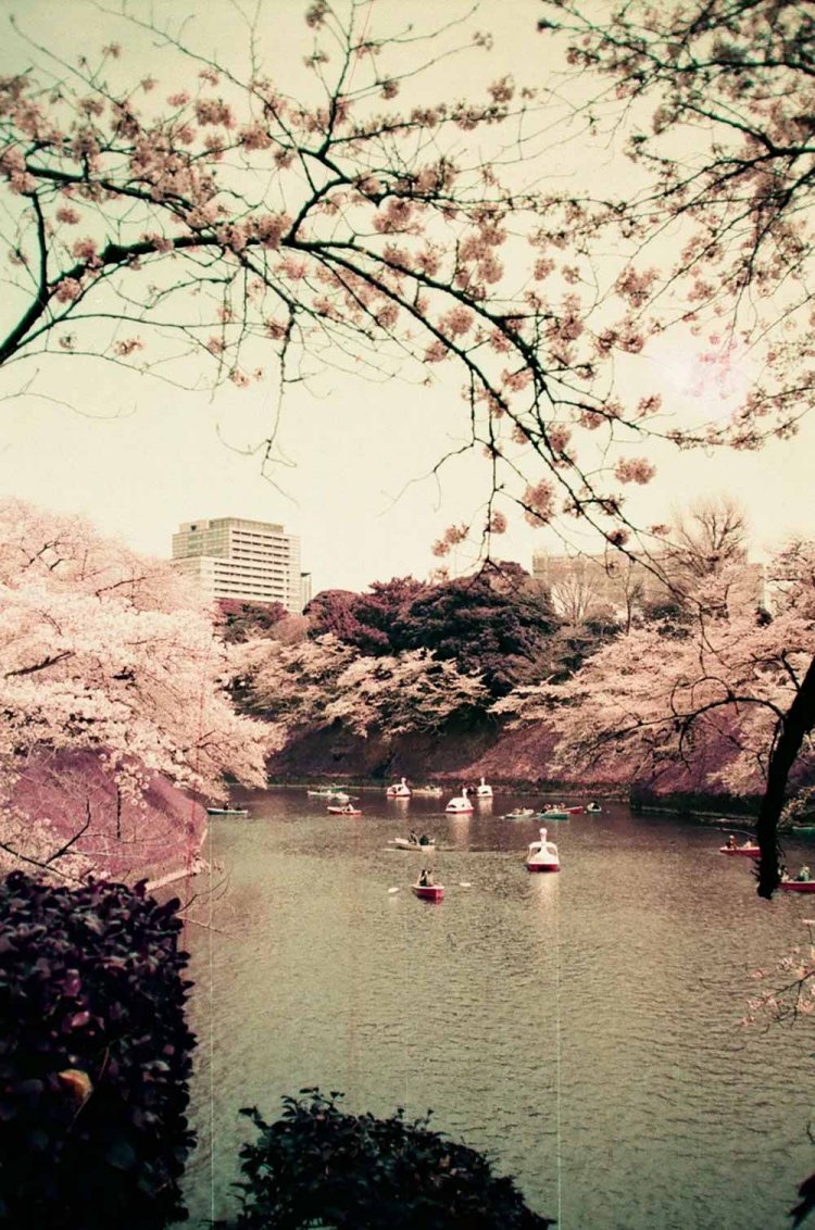 【カメラガールズ】LomoChrome Purple