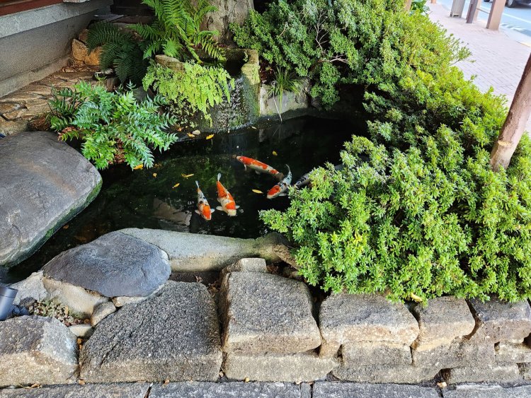 船橋屋亀戸天神前本店3