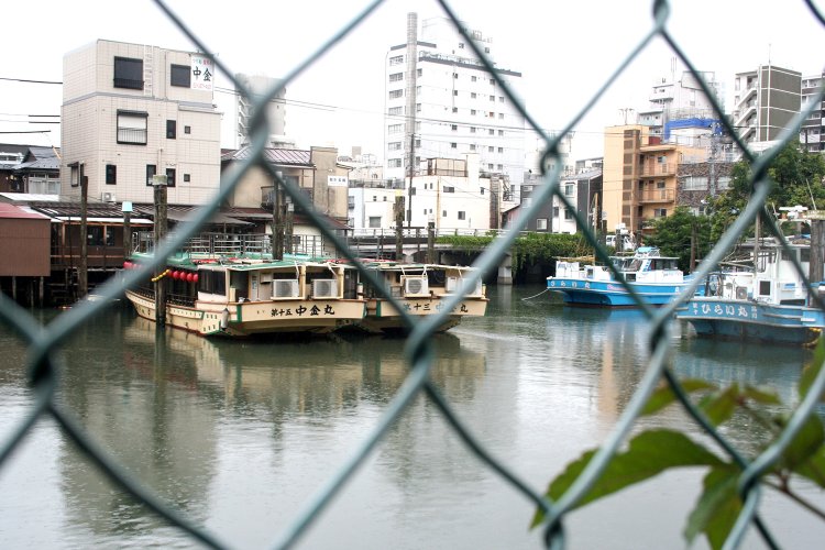 SHINAGAWA1930のすぐ裏は品川浦の舟だまりと呼ばれる場所。屋形船や釣り船の発着場となっている。