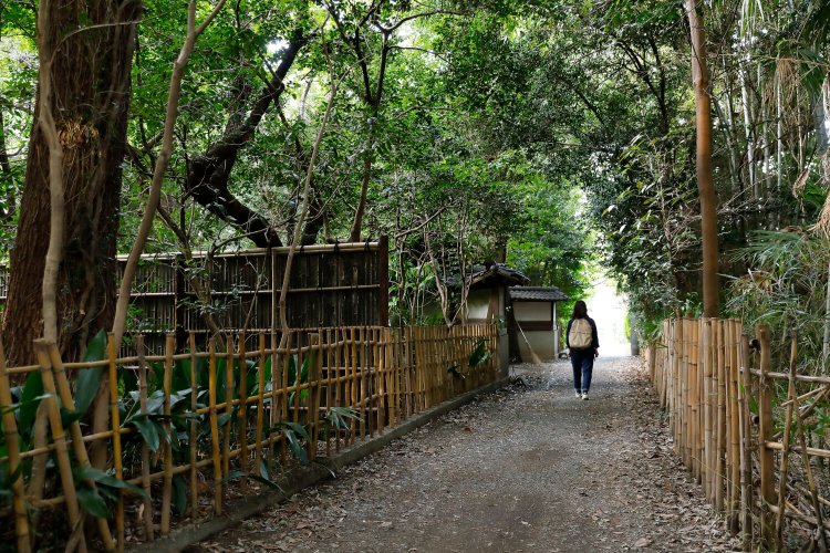 『阿佐谷けやき公園』から北に行ったところにある、広大な屋敷林に囲まれた小道。杉並の原風景が残る屋敷林として保全地区になっている。