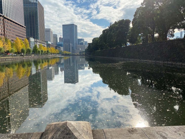 空と建物、木々が綺麗に映り、さながら街中の大きな鏡だ。