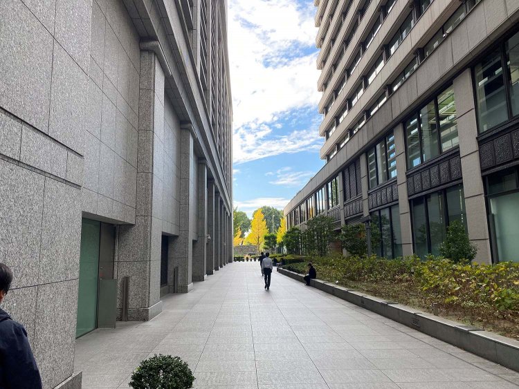 見えてきたぞ～！