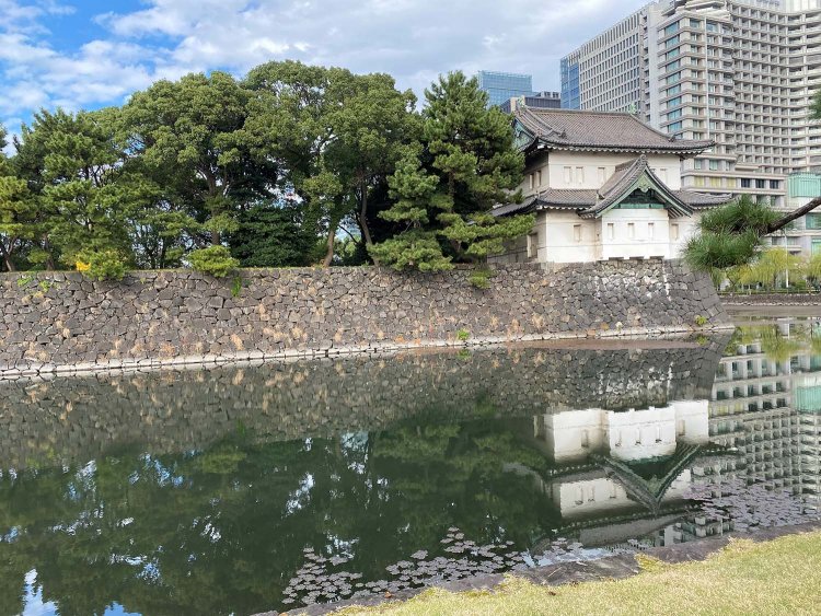 お濠と石垣はどこを切り取っても絵になる。