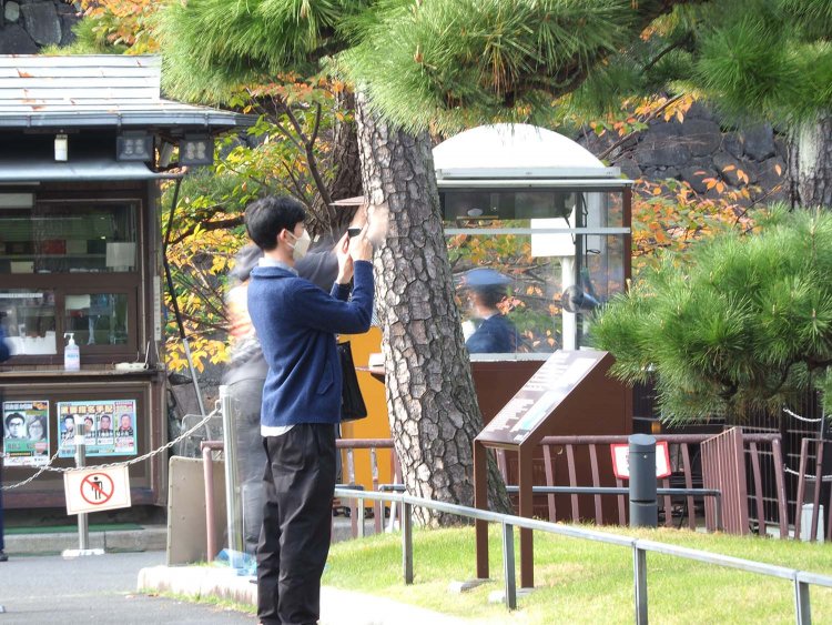 上手に撮れたかな？