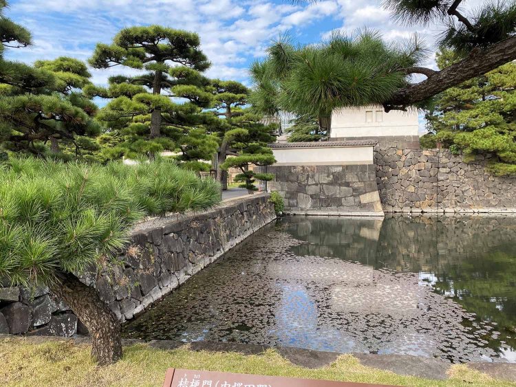 桔梗門（内桜田門）。