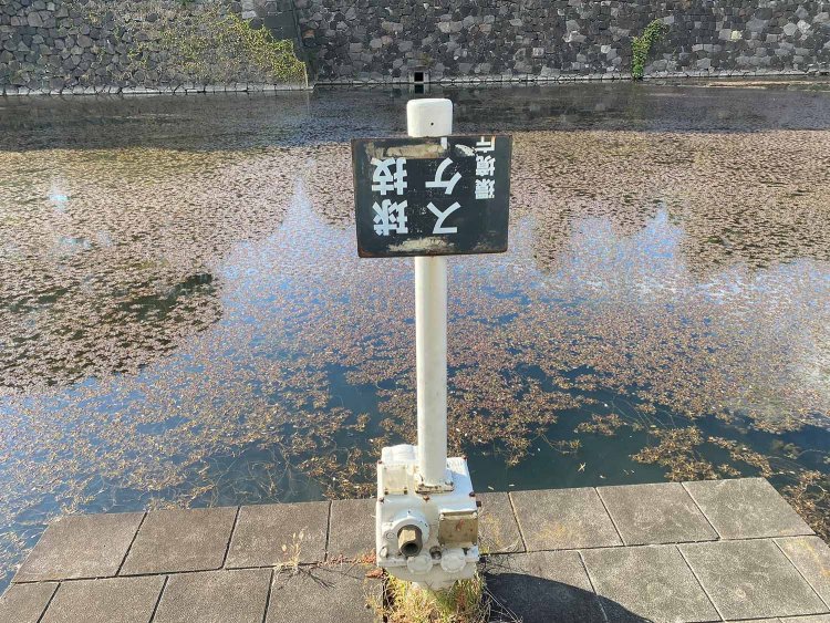 こちらも桔梗門から大手門へ至る途上で。現在の用途がわからない看板。どうしてこういう状態になったのだろう？