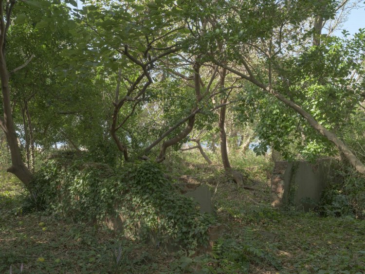 公園入り口側の遺構。ここは浴場の跡かと思われるが確証が得られないほど朽ちていた。