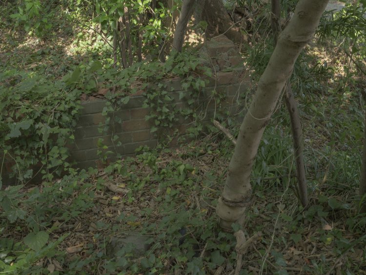 基礎部分のレンガは遺跡のように土と同化しかけていた。周辺にいる観光客はこれらの遺構までは気にかけていない様子であった。