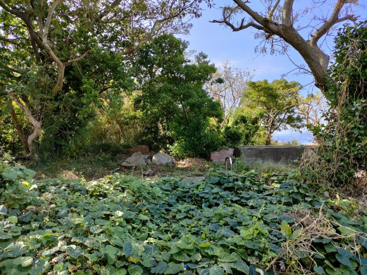 小山から降りてきて公園入り口に戻ってくる。森の中に建物の基礎が点在していた。