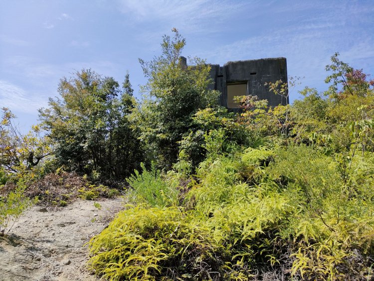 木影から望む観測所。小山の頂上にあるので見晴らしも良さそうで日陰もない。ご覧のとおり木々に囲まれていた。