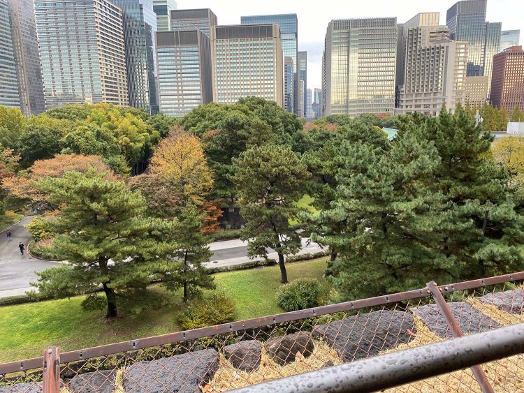 同じく展望台の上から。