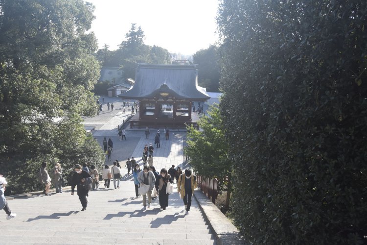 大階段上から舞殿を望む。右に子銀杏が見える。