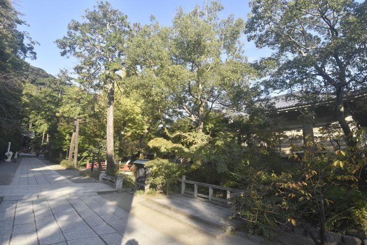 右手の木立内に実朝歌碑が見える。後ろは国宝館。