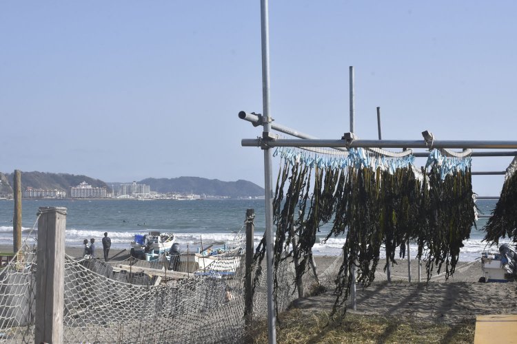 実朝は由比ヶ浜から船出することを願っていた。