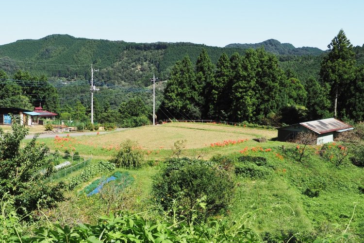 村の中心部にあるお墓のすぐ近くにある畑。牧場のために木を伐採したので、山の水が枯れて田んぼを作れなくなった。