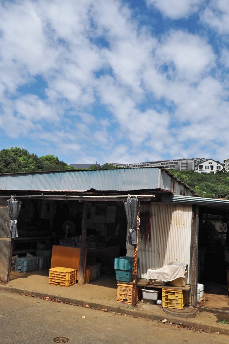 県道から子安の集落のほうへ入ると、野菜の直売所が変わらずにあったのでひと安心。直売所の奥は国際村の家並み。