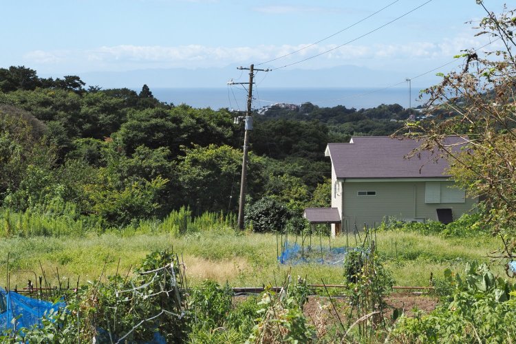 子安の里の最高地点付近。相模湾の奥に晴れていれば富士山もみえる。
