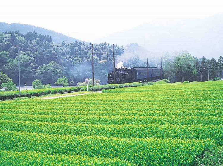 （画像提供：和茶倶楽部）