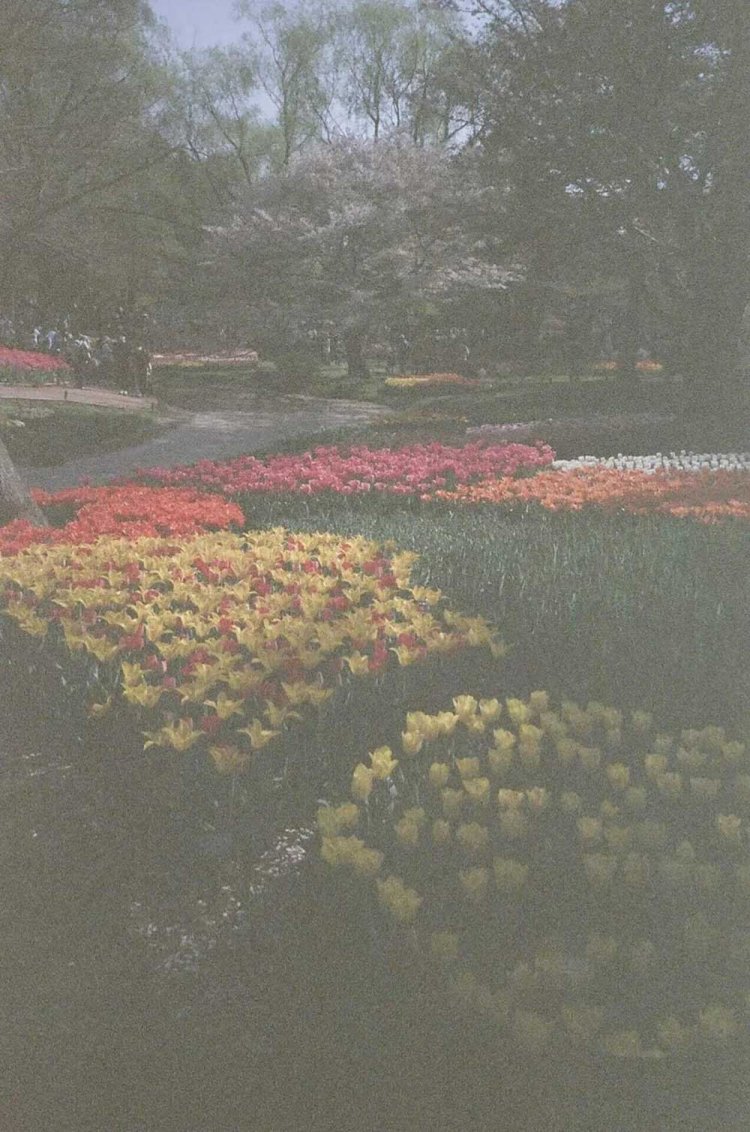 【カメラガールズ】有効期限切れのフィルムを使ってみた！