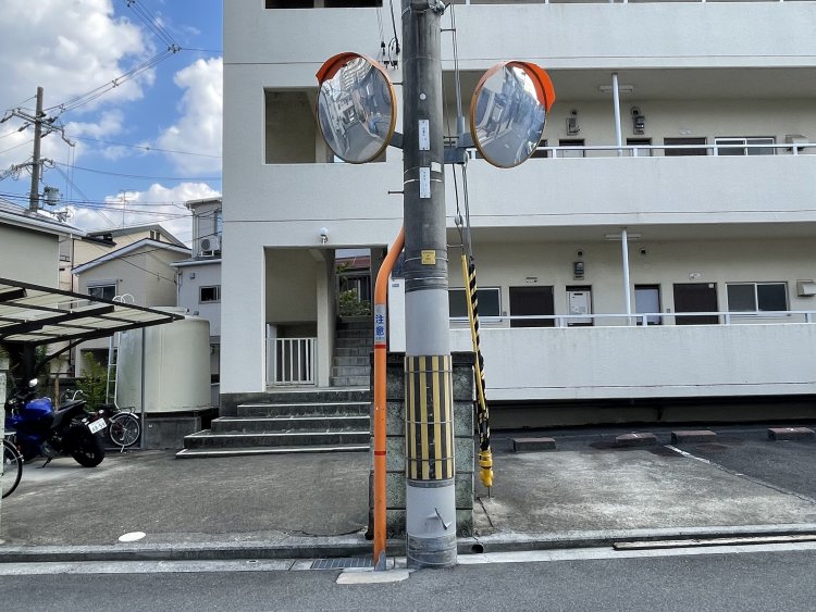 背後から恥ずかしそうに顔を出す「ひょっこり系」。