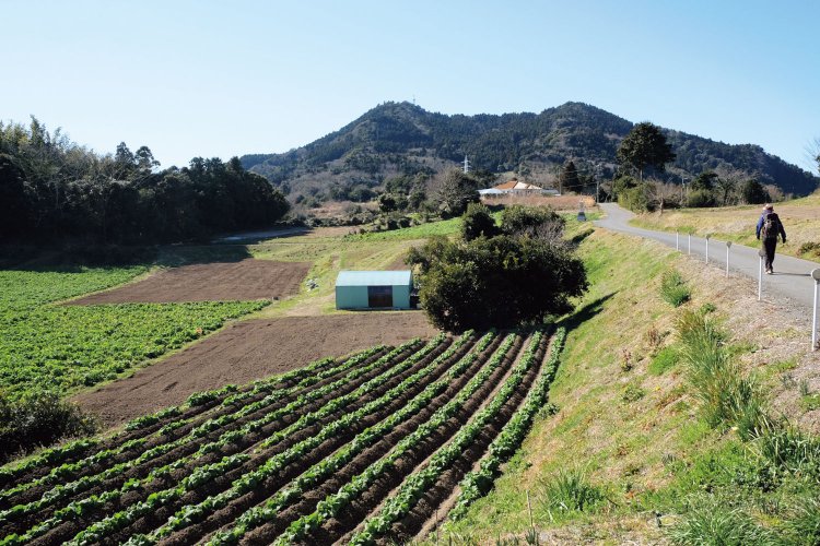 伊予ヶ岳から下って、富山へ向かう途中の道。田園の中の道もまたいいものだ。