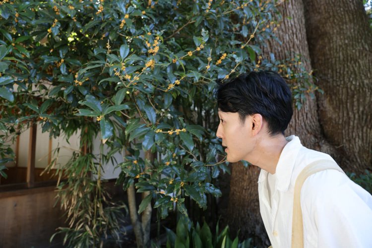 「あ、キンモクセイの香りがしますね」と言って、木を見つけては顔を寄せる真造さん。