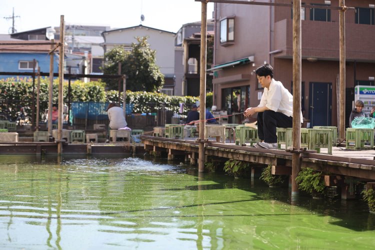 阿佐ヶ谷ひらやすみ14真造圭伍