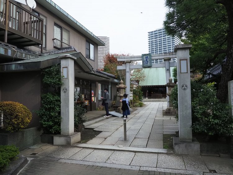 だるまみくじを発見！