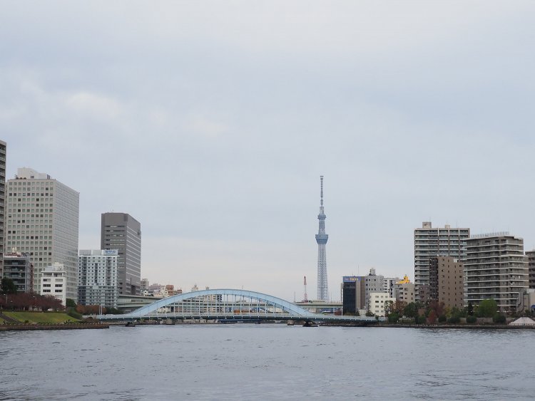 遠くに東京スカイツリーが望める。快晴ならよりくっきりと見えただろう。