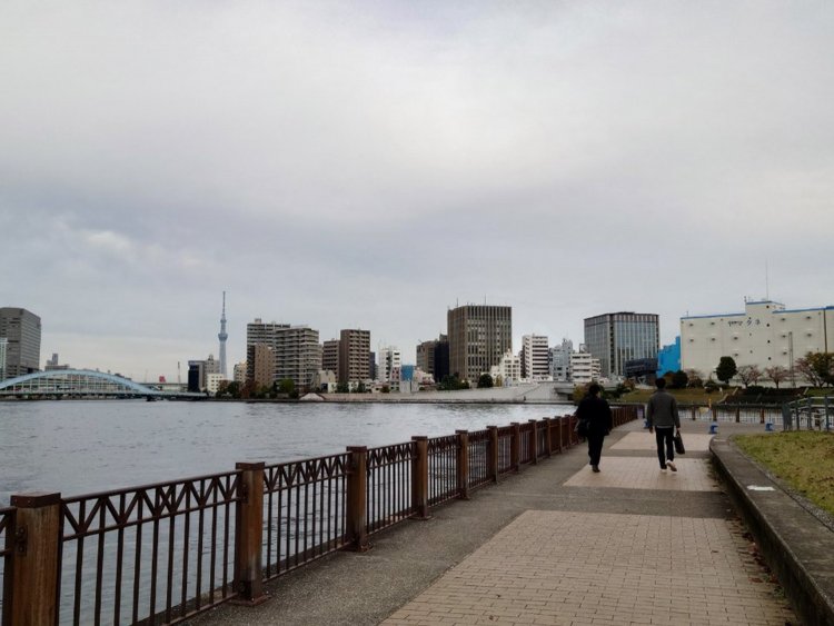 川沿いの散歩は気持ちがいい。