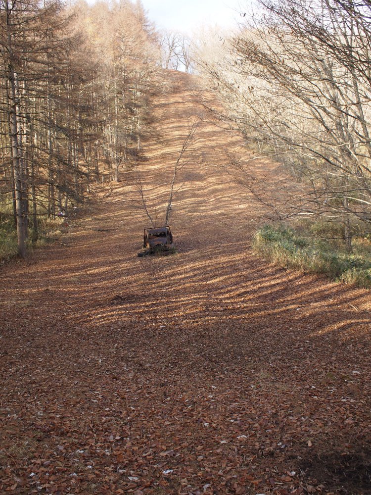 前面側から見る。クロカンコースかと思われるほど尾根の防火帯は緩やかな傾斜の勾配となっており、その中心にドンと廃トラックが構えているので、この山の主にすら見えてくる。