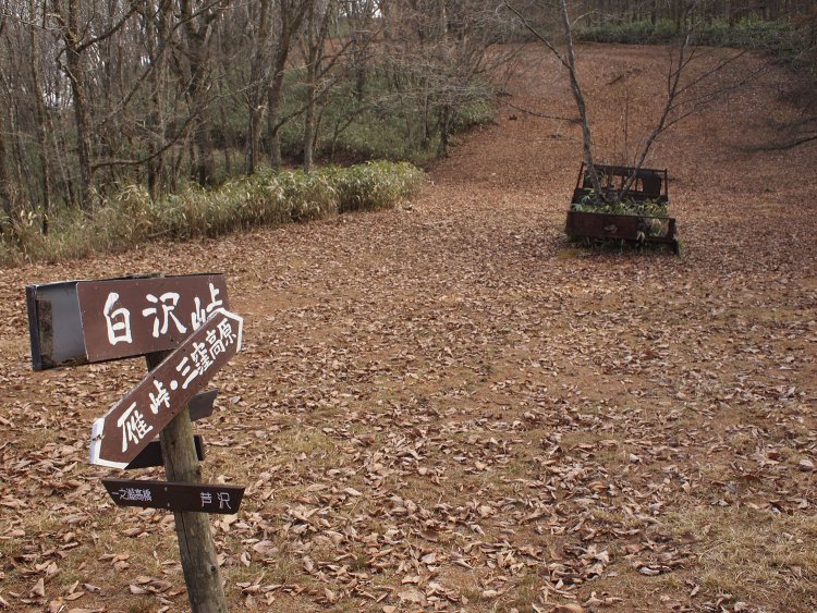 尾根に到着！　息を整えて行先の看板の右手を見ると……いきなり現れた廃トラックの後ろ姿。