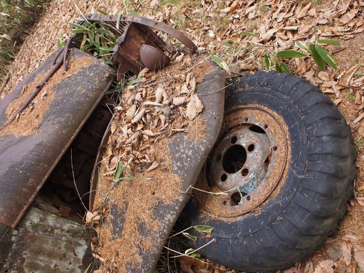 右前輪はタイヤが外れていた。DUNLOP TRACKの刻印が確認できた。